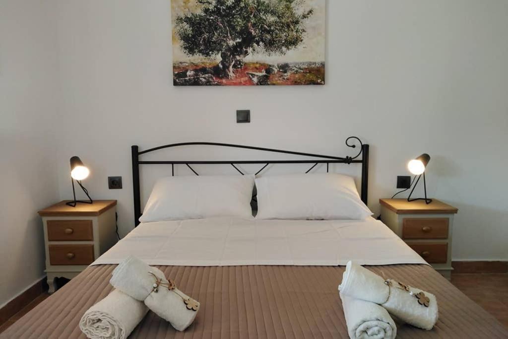 Apartment With Private Pool For Rent In Tzanata Kefalonia Dhimisianata Экстерьер фото
