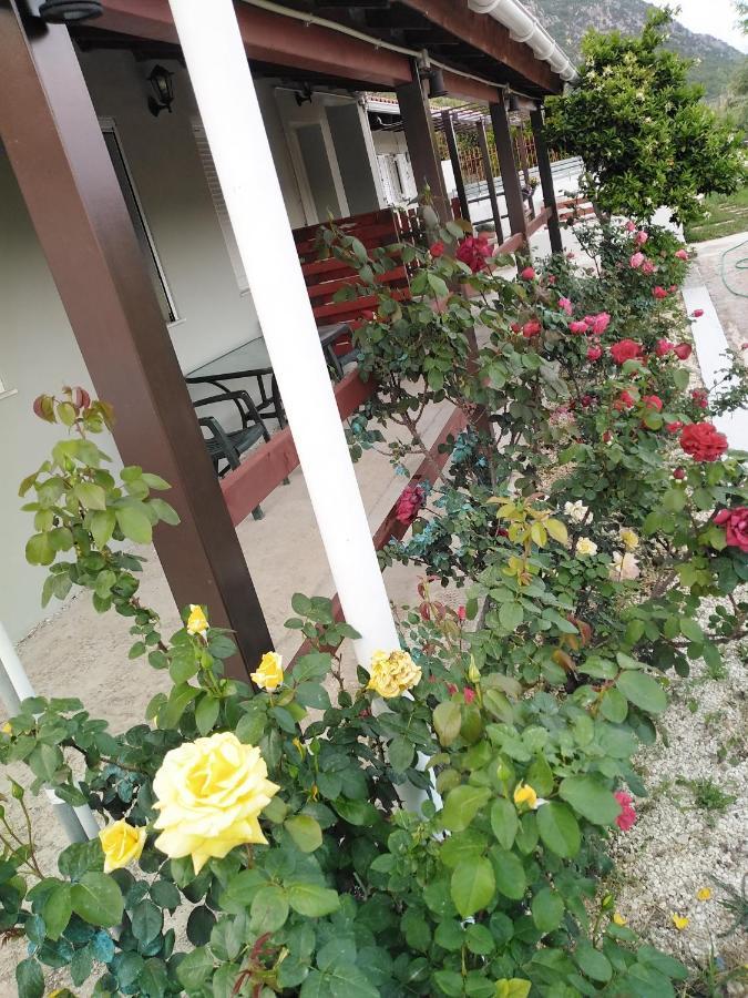 Apartment With Private Pool For Rent In Tzanata Kefalonia Dhimisianata Экстерьер фото